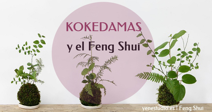 kokedamas y el feng shui